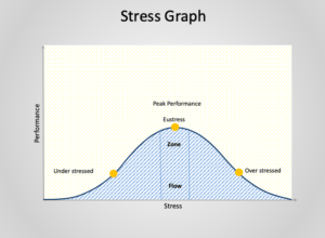 Symptoms of Stress and Anxiety | Choice Theory Online